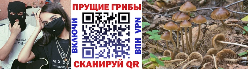 KRAKEN   Семёнов  Галлюциногенные грибы ЛСД  купить  цена 
